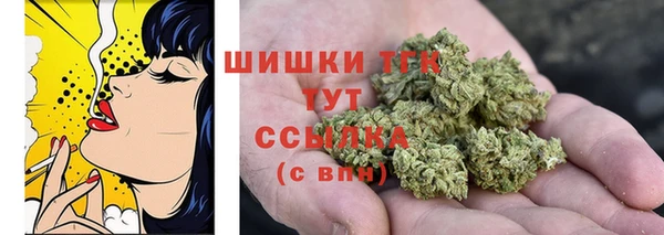 прущий лед Верея