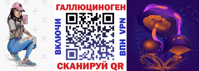Купить закладки  Михайлов  Псилоцибиновые грибы мицелий 